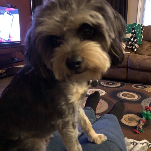 Meet your Posher, Jack - Picture 4 of 9